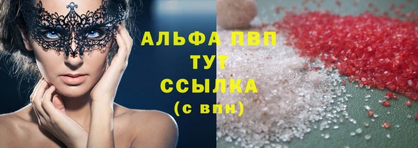хмурый Аркадак