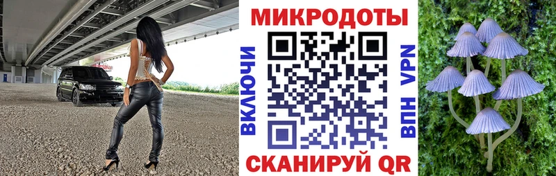 Псилоцибиновые грибы прущие грибы Тайга